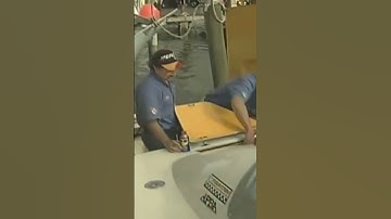 Freeze frame video.net