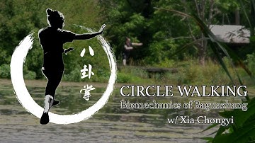 Circle Walking: Bagua Biomechanics (Trailer 1)