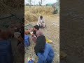 Punjab min kank ki ghi sharo ho gayi labour ke bande chaye pi kar ziyadah kam karte hen #ytshorts