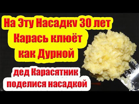 Прикормка для карася в августе своими руками