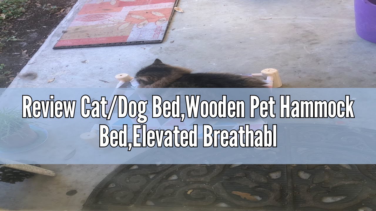 Review Cat/Dog Bed,Wooden Pet Hammock Bed,Elevated Breathable Dog Bed, Detachable Portable Indoor/Ou