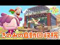 【ぽこポケ】きのみ自動回収装置を作るライブ!【ぽこあポケモン】