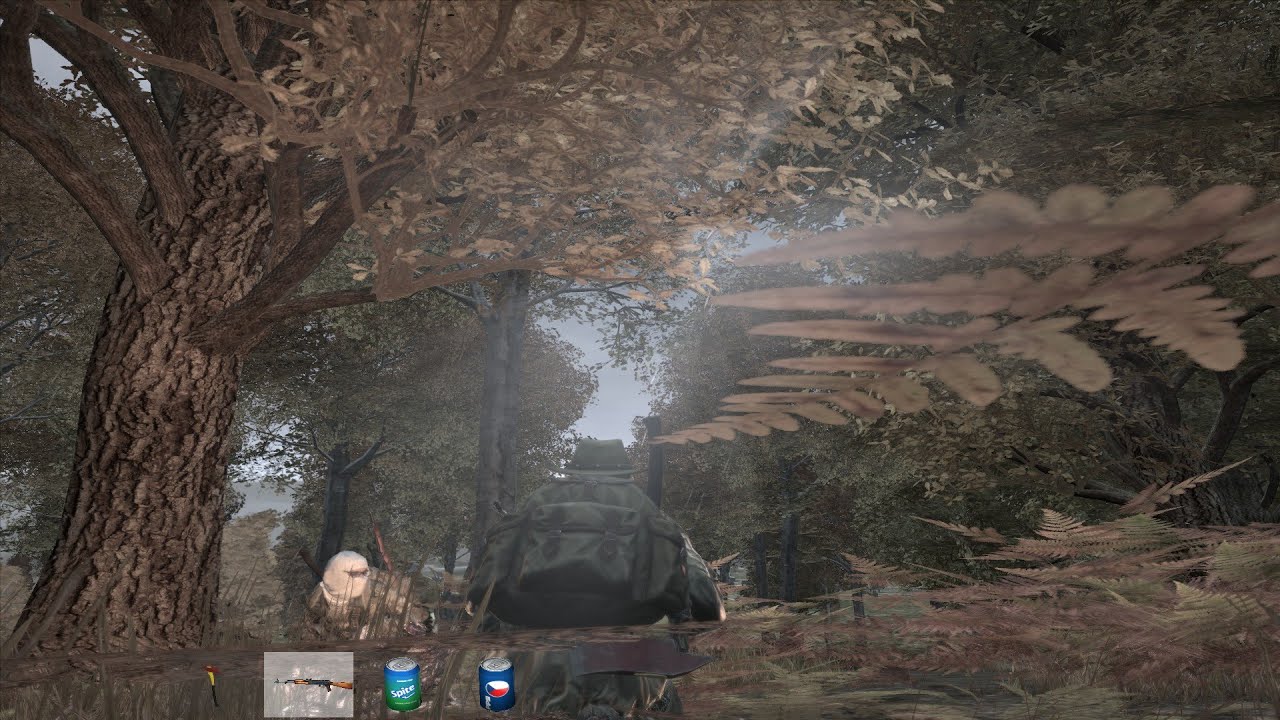 Dayz Standalone Chilling By The Campfire YouTube