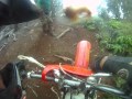 Helemano Crew Bradas is nuts kukui brain Hawaii Oahu