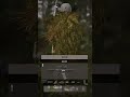 Dayz - Под базой #dayz #dayzgamers #gaming #survival #games #игры #dayzstandalone #dayzpvp #shorts