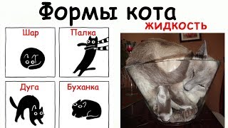 Лютые Приколы Формы кота: Шар Палка Дуга Буханка Жидкость Лютые Приколы Формы кота: Шар Палка Дуга Буханка Жидкость