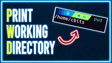 Comando PWD: Para que Sirve en Linux y Windows? (Con Ejemplos) 🤩 | Curso de Linux 2024