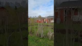 Explorando El Encantador Barrio De Casitas Coloridas En Finlandia Un Oasis Ecológico