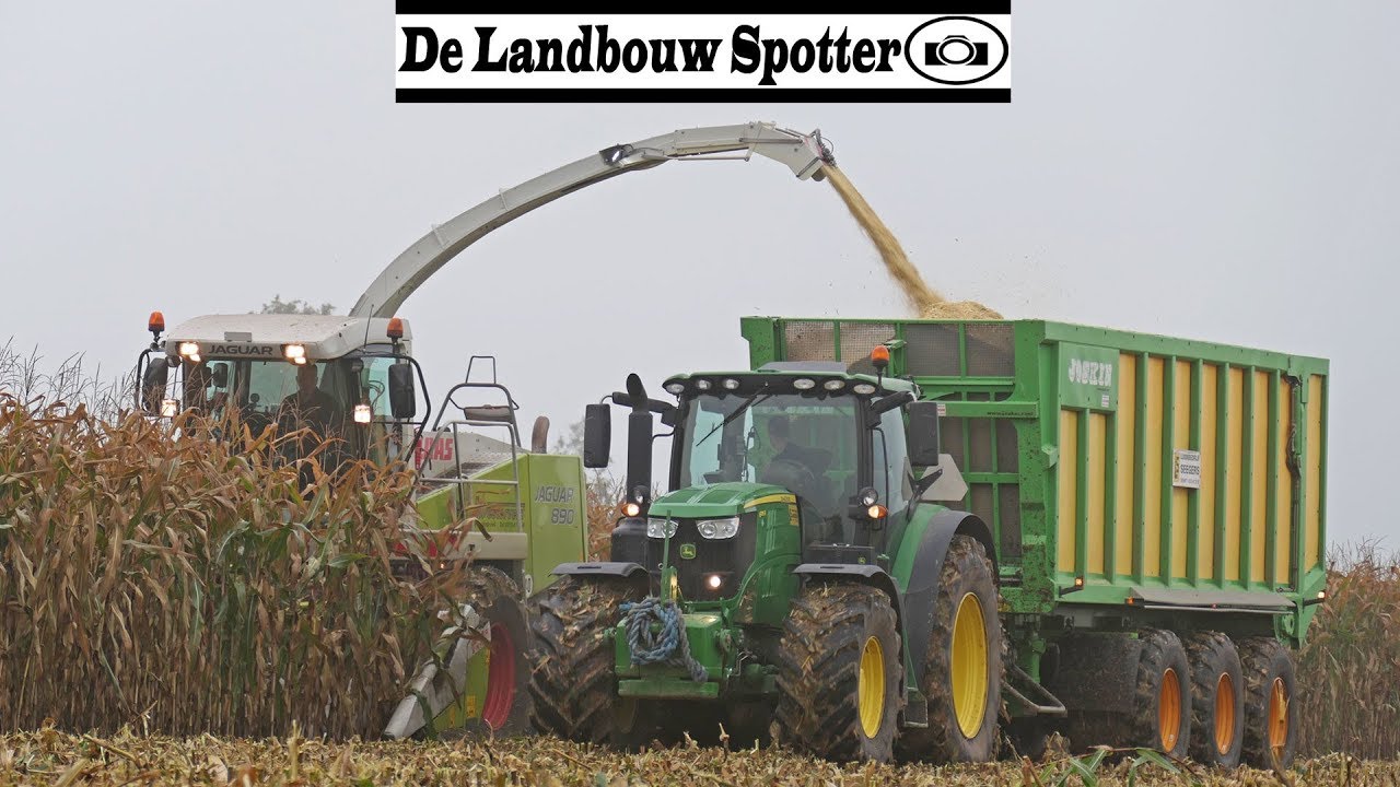 MKS hakselen 2019 | Westerveld en Seegers | Claas Jaguar 890 | John Deere + Massey Ferguson