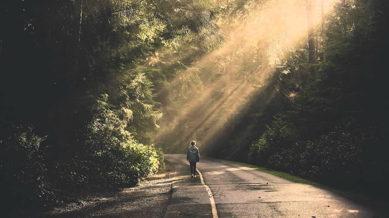 Feverkin - Turn To Salt