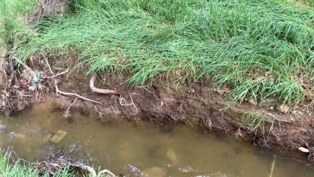 Bonita cascada#lahabra 