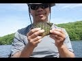 A Medium Sunny and Largemouth Fail