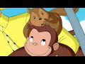 Curioso Come George 🐵 George fa volare un aquilone 🐵Cartoni per Bambini