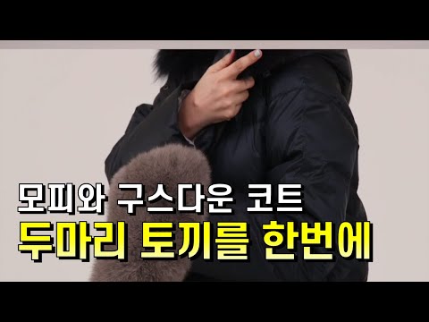 [GS홈쇼핑] 세련,모던,시크 다해버리기 | [19FW] MORGAN 폭스퍼 후드 구스다운, 모르간코트, 겨울코트, 코트추천