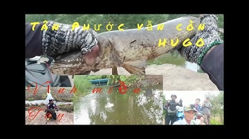 Hành trình săn lóc,điểm câu Tân Phước pha lên Hugo đầy hấp dẫn