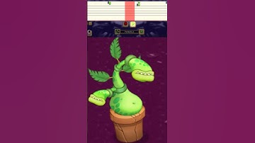 Potbelly psychic island tutorial