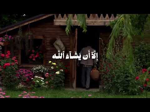 ولا تقولن لشيء اني فاعل ذالك غدا قرآن راحة نفسية اكسبلور اقنباسات اشتراك لايك تيك توك