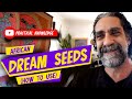 African Dream Seeds - Entada Rheedii (how to use)