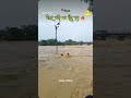 Apna Rewa MP 17 Sankat Per Apna Rewa MP 17 Sankat Per