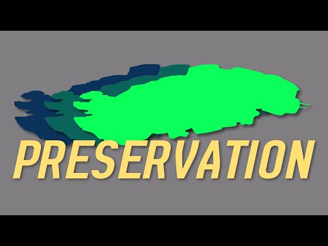 Preservation II - The 2024 Small Gang Experiance