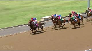 20211101 Hollywoodbets Greyville Express Clip Race 2 Won By Miss Lialah