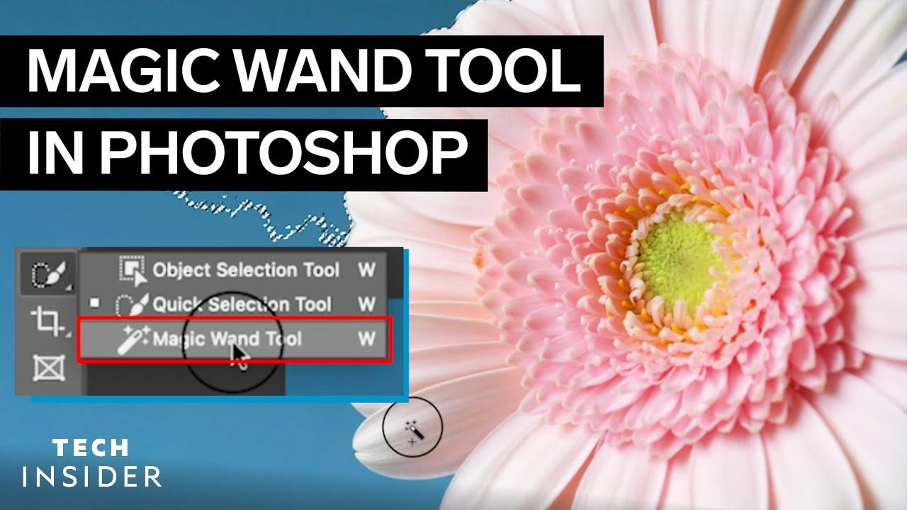 How To Use The Magic Wand Tool In Photoshop