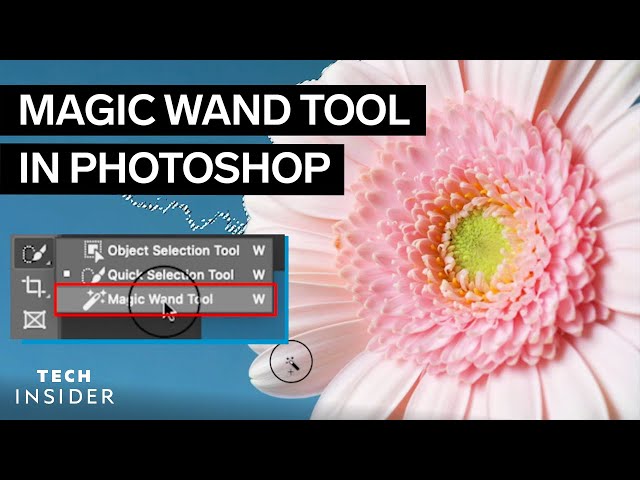 How To Use The Magic Wand Tool In Photoshop class=