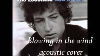 Video thumbnail of "Bob Dylan - Blowing in the wind acoustic cover"