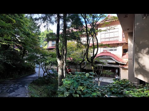 女ひとり旅|600年の秘湯宿で白金豚しゃぶしゃぶの夜【藤三旅館 前編】