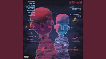 Netværkets Nervesystem