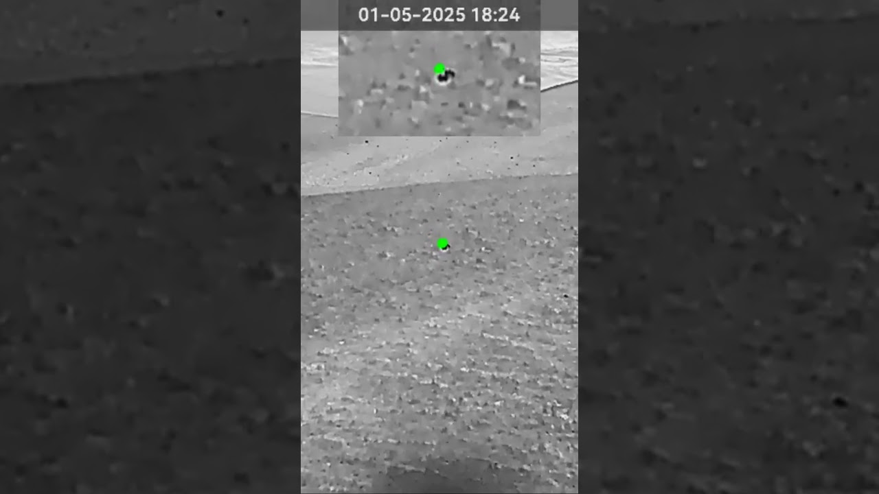 Agm rattler v2 and 22ARC put down another South Dakota coyote. 