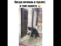 Download Угар Угар