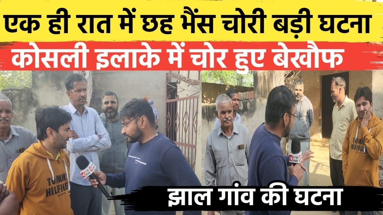 Rewari Breaking: कोसली के झाल गांव में 6 भैंस चोरी ग्रामीणों में गुस्सा |State News Haryana|