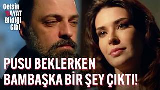 Pusu Beklerken Bambaşka Bir Şey Çıktı - Gelsin Hayat Bildiği Gibi