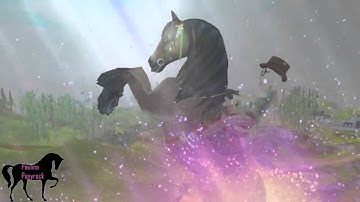 Part.13 *For Izabella Easthill*