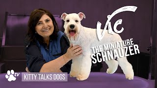 Master Schnauzer Grooming: Pro Techniques from Ears to Tail with Kitty Dekeersgieter