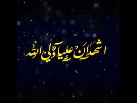 أشهد أن علي ولي الله