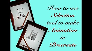 How to use selection tool to make animation in procreate ( Beginners tutorial in detail)