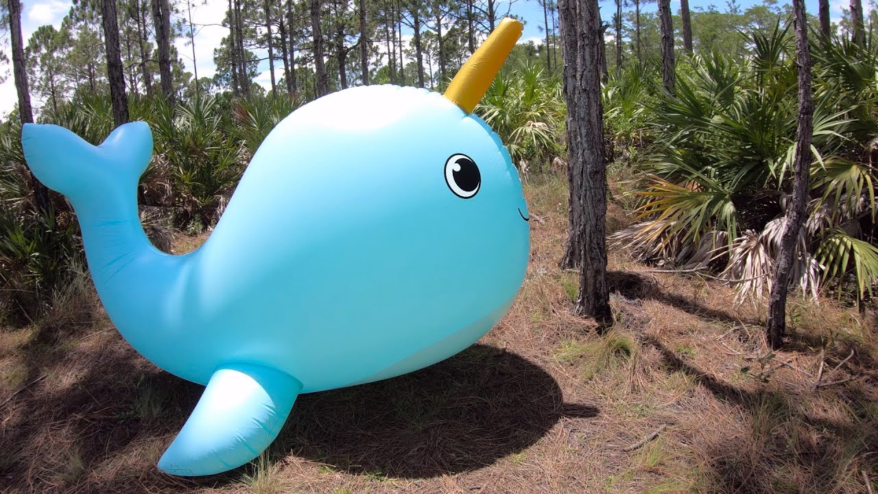 Inflatable Narwhal Sprinkler from Target