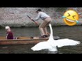 Best funnys   hilarious peoples life   try not to laugh  best fun life 1