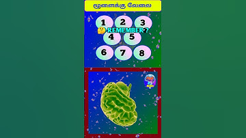Memory Game 11#memorygames#tamil #memorygame #memorytest #games #shorts