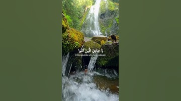 "يَا عِبَادِيَ الَّذِينَ آمَنُوا إِنَّ أَرْضِي وَاسِعَةٌ "سورة العنكبوت، الآية 56.