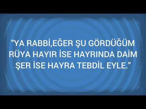Rüyada Kümes Hayvanı Görmek Ne Anlama Gelir, Ne Demektir?