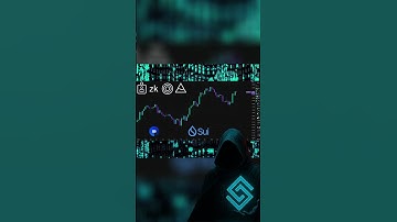 Sui: The Fastest Limb of Speculation in Crypto?