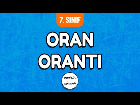 Oran Orantı | 7.Sınıf Matematik | 2024