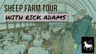 Production and Show Stock Sheep Farm Tour:  Rick Adams and Linessa Farms