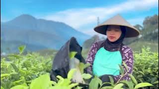 DAAI TV Indonesia - Rayuan Pulau Kelapa (Sign Off) 2023