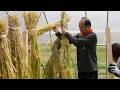 Why this straw craft takes months to complete | Rare 300-Year-Old Japanese Technique.