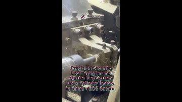 Precision Security Lock Cylinder and Master Key System Lock Cylinder factory in China - EOS Secure