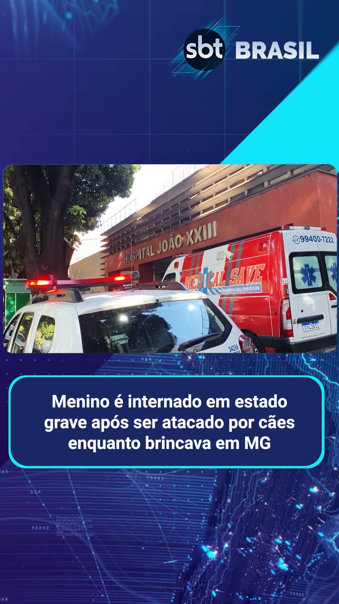 Criança fica em estado grave após ser atacada por dois cães em MG | SBT Brasil (13/03/25)